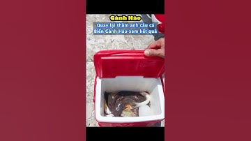 Quay lại thăm anh câu cá biển Gành Hào xem kết quả #shorts