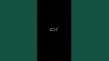 back to basics with blender python and gunna