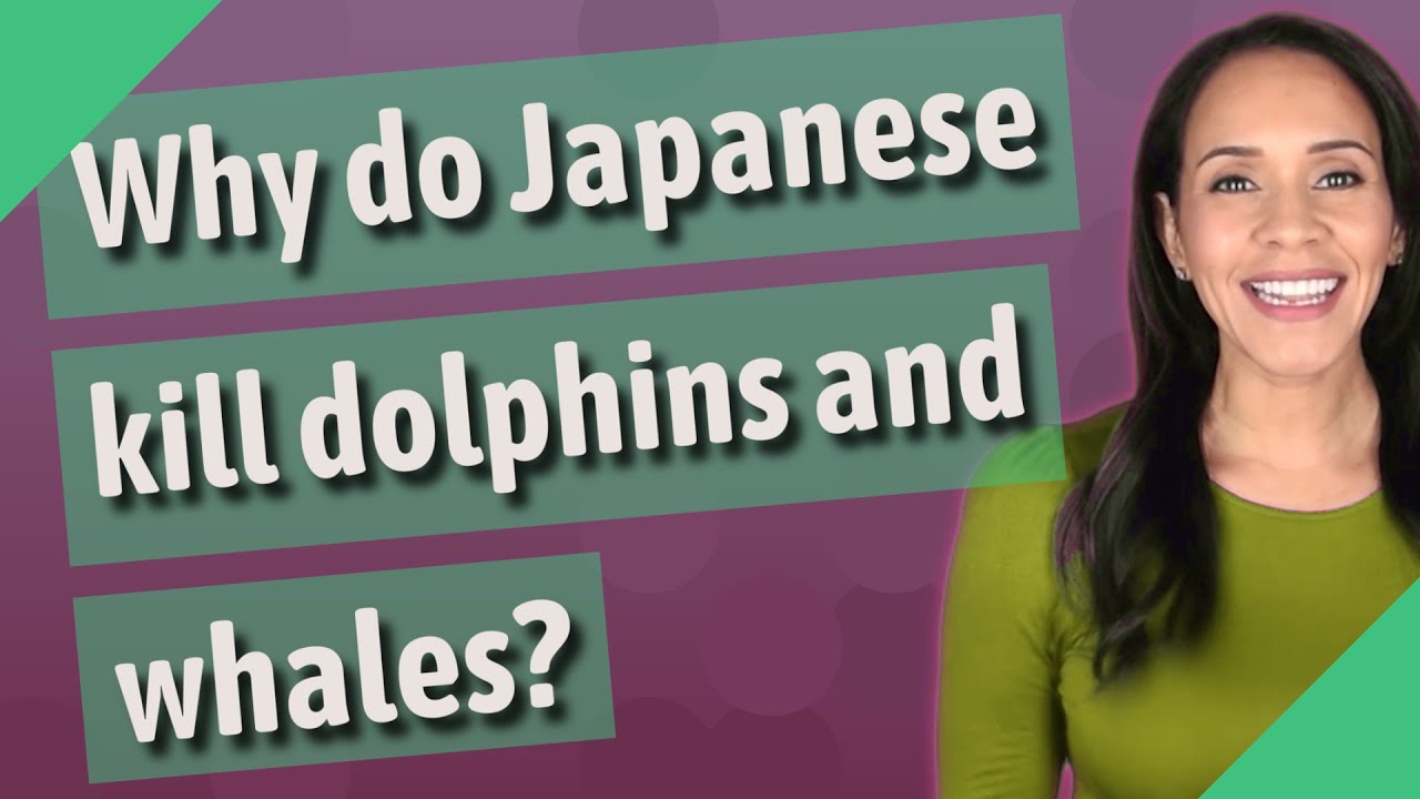 Why do Japanese kill dolphins and whales?