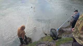 Cowlitz River Smelt Dipping