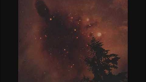 magnog - learning forgetfulness