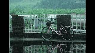 OST MIX-BlueArchive OST-Luminous Memory+Water FlowingSound+Rainy Background(루미너스 메모리+물흐르는 소리+비내리는배경)