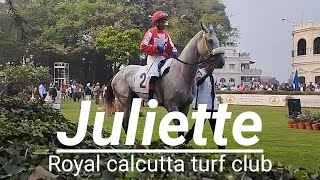 Juliette wins the Hpsl indian turf invitation cup ( gr. 1 )