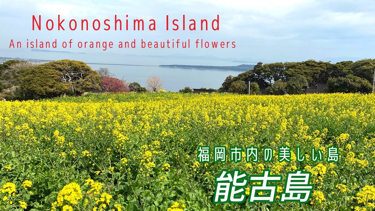 Fukuoka Strolling In Fukuoka Nokonoshima Island Beautiful Island In Fukuoka City Youtube
