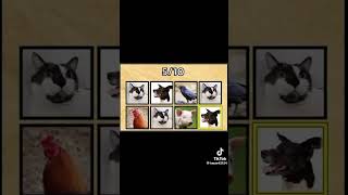 Game filter đọc tên động vật | HDV Huy screenshot 2