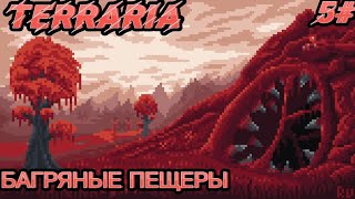 Фото Багряные пещеры в Terraria I Неизвестности ждут!