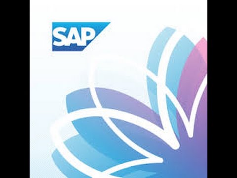 How to create your own package in SAP