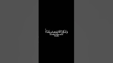 #قران_كريم #ياسر_الدوسري #شاشه_سوداء #سورة_القصص #استغفر_الله #اللهم_صل_وسلم_على_نبينا_محمد