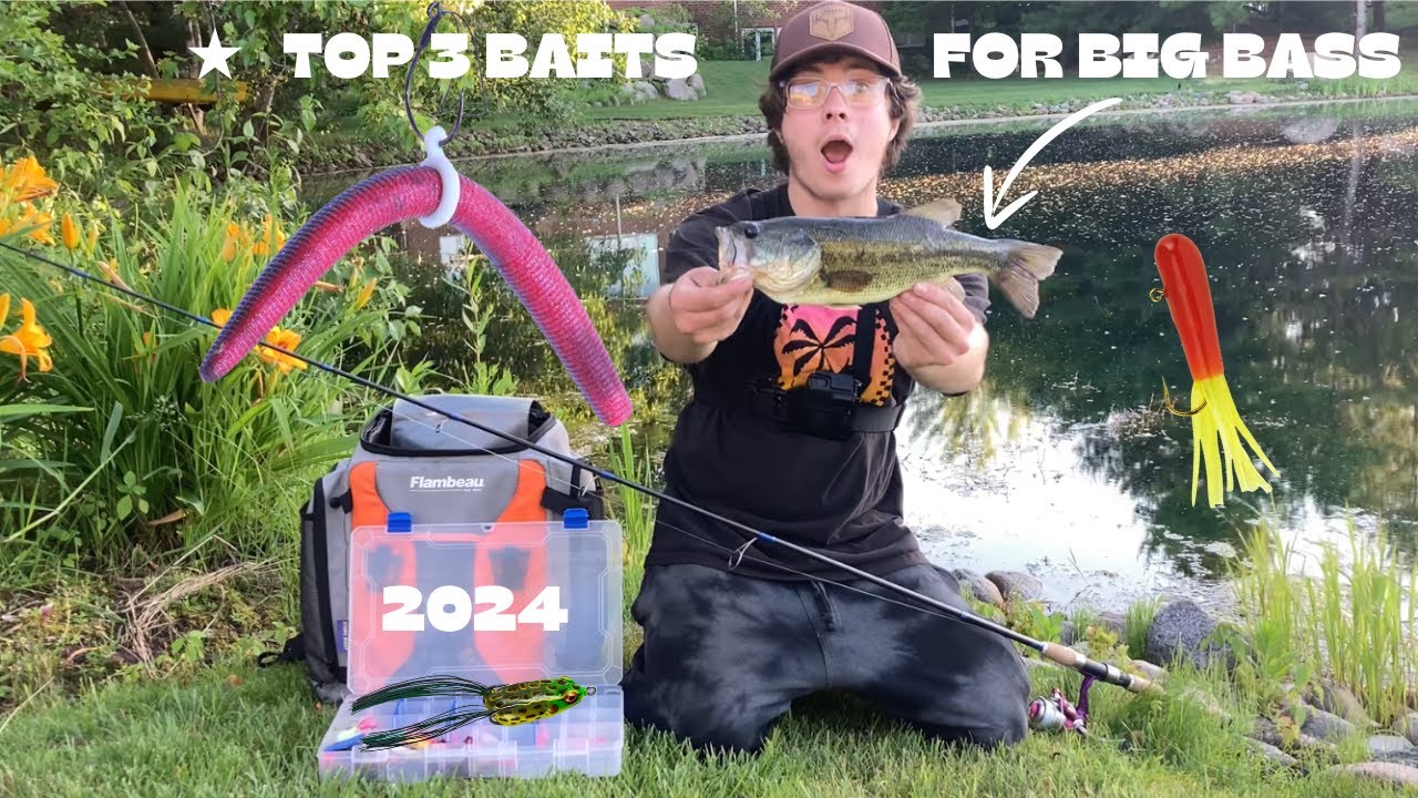 HOW TO CATCH BIG BASS IN SUMMER TIME PONDS ( TOP 3 BAITS) YouTube