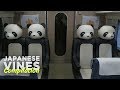 Best Japanese Vines of 2018 | Part 06 Vine Compilation
