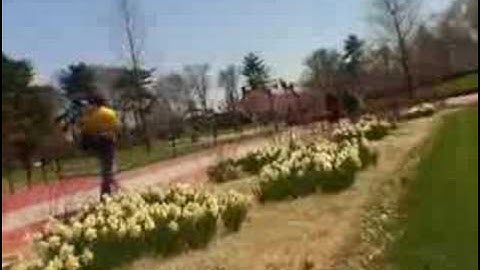 theU.com - U. of Delaware: "The Crowd"