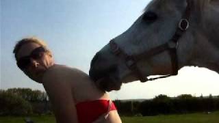 Video thumbnail of "Nice Day For A Licking by the Horse"