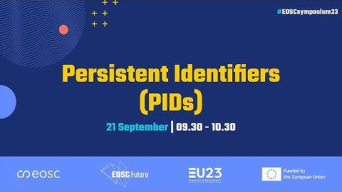 Persistent identifiers (PIDs)