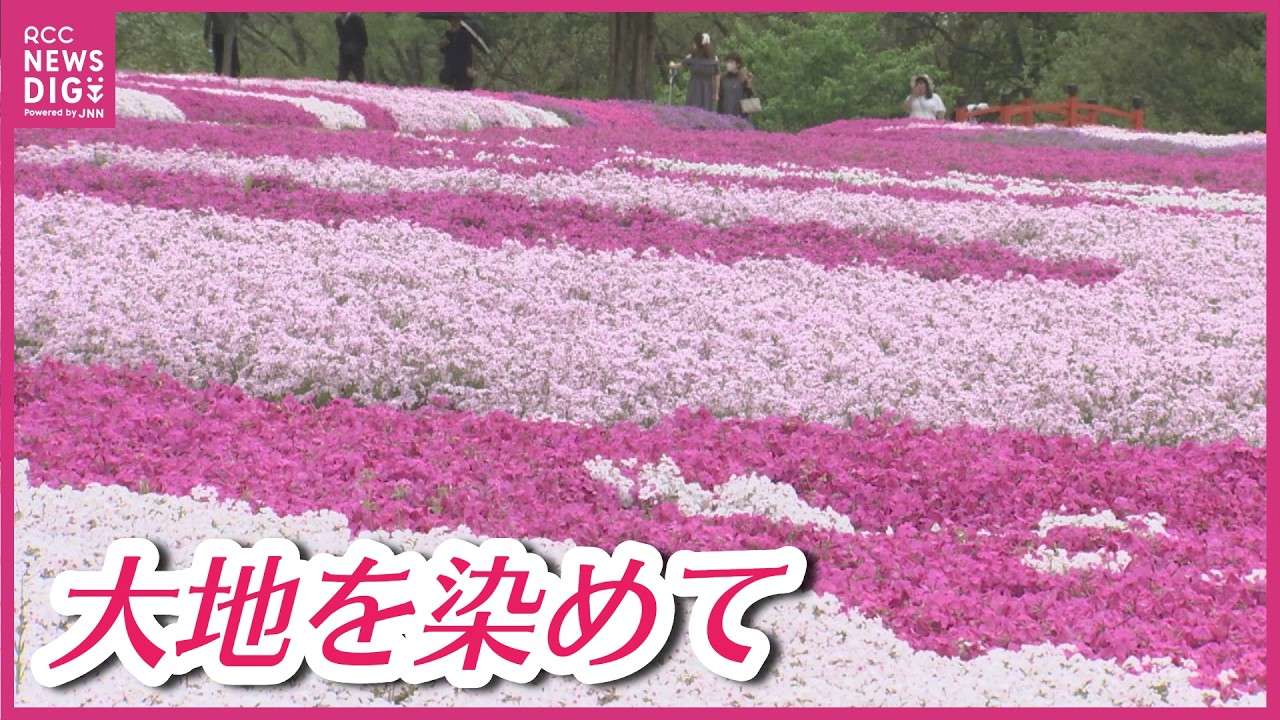 A heavenly scene, not of this world