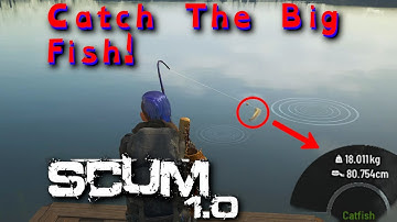 Gone Fishing: Learn to Fish in Scum 1.0