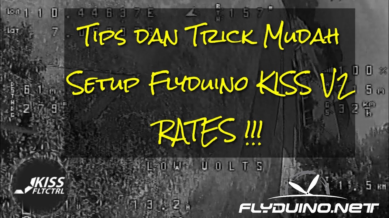 Tips Setup Rate Flyduino Kiss Secara Cepat, Tepat dan Mudah