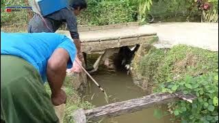 Nyetrum ikan telusuri sungai di pedesaan #setrumpdc