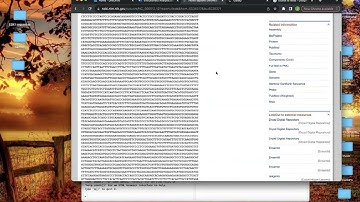 Creating Phylogenetic Trees in RStudio using the APE Package
