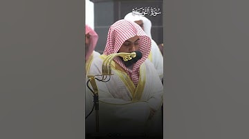 تلاوة بهيّة من سورة التوبة | تلاوة فضيلة الشيخ د.#الوليد_الشمسان