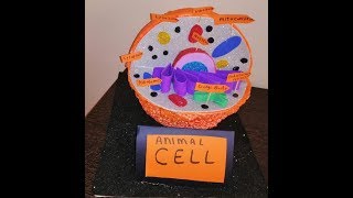 مجسم عن الخليه الحيوانيهanimal cell