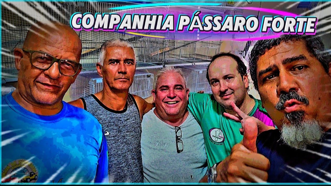AVES TUDO CANTANDO PARA A VENDA 