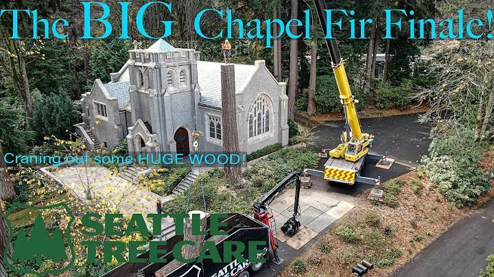 BIG CHAPEL FIR FINALE!!! Craning out some HUGE woo...