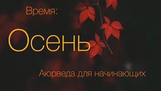 Осень. Аюрведа для начинающих