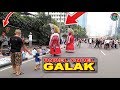 ONDEL ONDEL GALAK Ondel ondel CFD Ondel Ondel Bintang Adzam