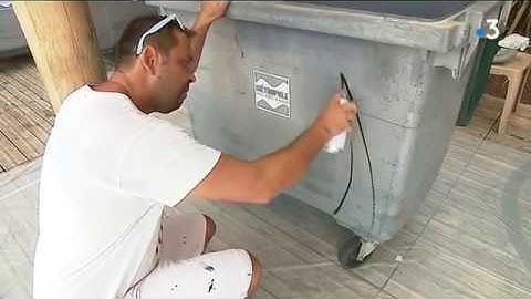 Nice : des conteneurs à déchets restylisés par des street-artistes