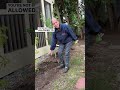 Keep It Simple: Plant Ground Cover Instead Of Perennials