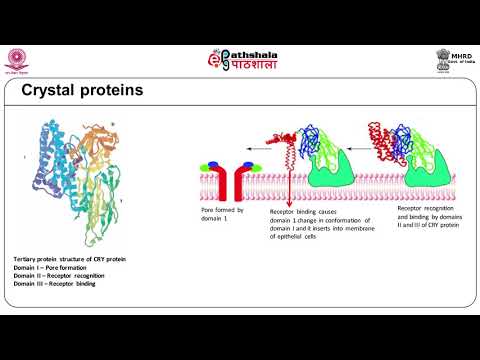 insect-resistance