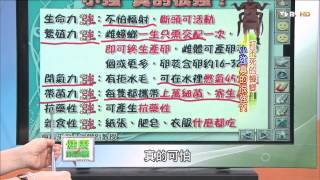 健康兩點靈_20140621_1462_1(TVBS DMDD)