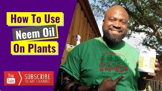 How To Use Neem Oil On Plants 🌱