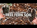 TREE FERN SOIL 💘 all about my mix and plants I