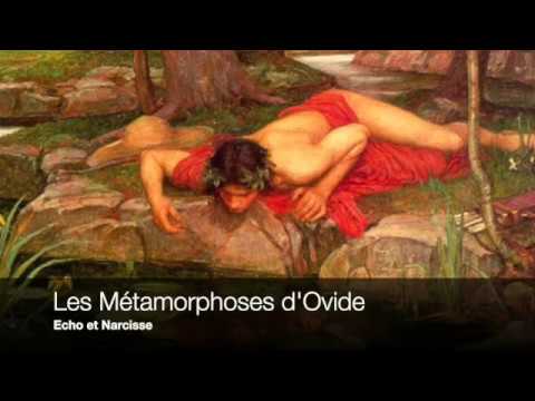 Vidéo: Narcisse Poétique