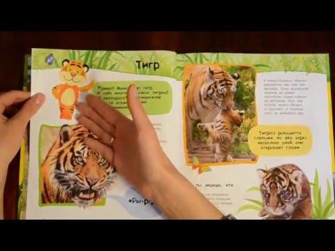 Видео: Какви енциклопедии да купите дете