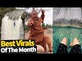 Top Viral Videos Of The Month - August 2019