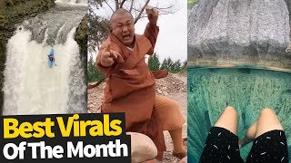 Top Viral Videos Of The Month - August 2019