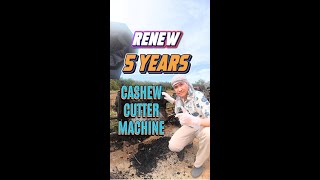 Renew 5 Years Old Cashew Cutter Machine
