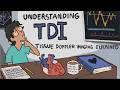 “TDI Explained Clearly: S’, E’, A’ and What They Mean” (Ultrasound Echo, Registry Content)