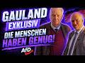 Deutschland steht vor einem Wendepunkt! Dr. Gauland AfD Exklusiv Interview bei Politik im Fokus
