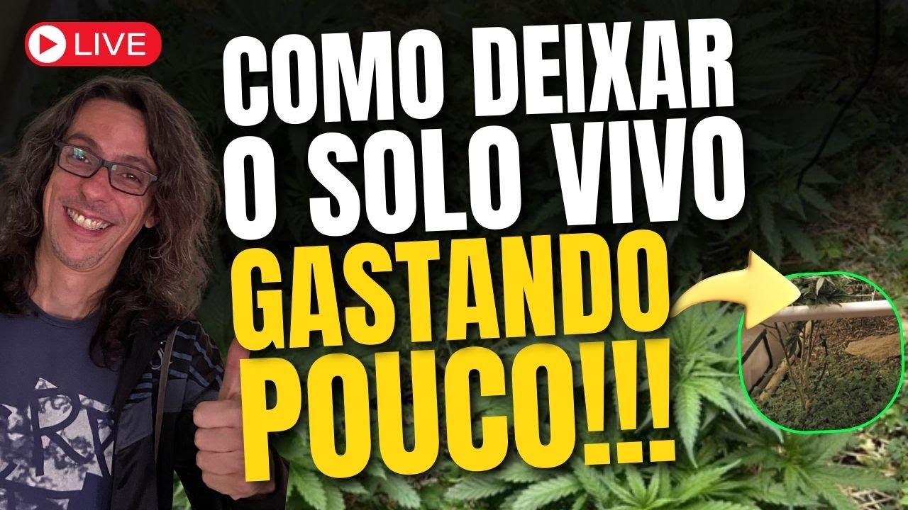 Do MINERAL ao ORGÂNICO: Como transformar um SUBSTRATO INERTE em um SOLO ORGÂNICO VIVO com 40 REAIS
