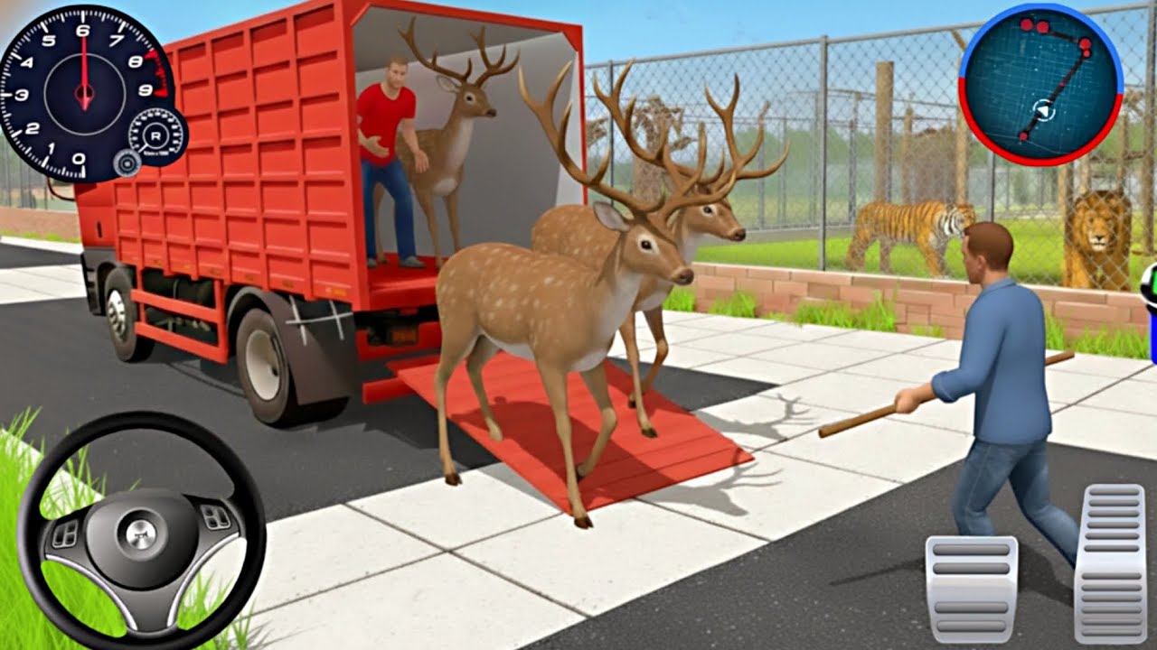 Transfer Deer & Zebra to Big Zoo - Cargo Animal Truck Driving 3D - Andriod Gameplay