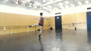 Mohamed Sayed - Don Quixote