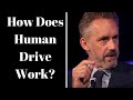 Jordan Peterson ~ How Does Human Drive Work?