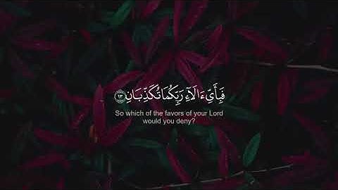 سوره الرَّحْمَنُ بصوت رائع "Surah Al-Rahman, I vote wonderful"