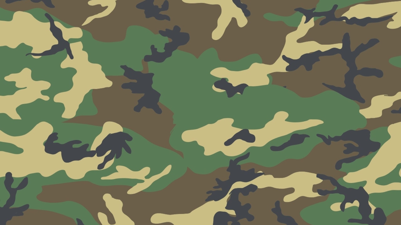 Защитный фон для презентации