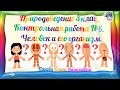 Природоведение 3 класс. Контрольная работа № 6.  Человек и его организм.