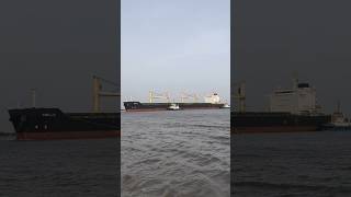 Tug Boat Pulling Giant Ship 😱🚢⚓ #merchantnavy #ship #bigship #kandlaport