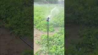 Part circle Mini Sprinkler system #sprinklersystem #sprinklerirrigation